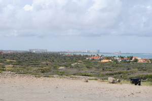 Vegetatie Aruba